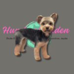 Kurzhaarhunde