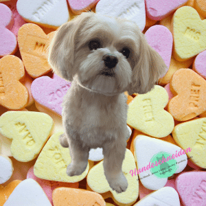 Maltesermix Maltesermix