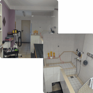 Home Hundesalon in Winnweiler