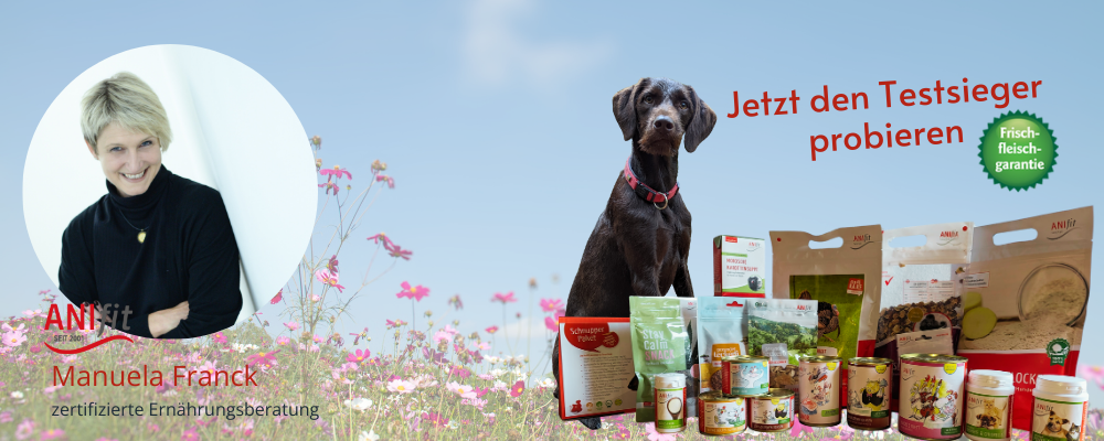 Anifit testsieger Anifit testsieger