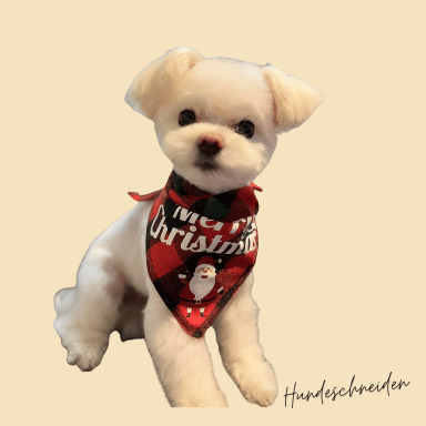 malteser malteser schneiden