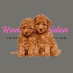 Welpen und Angsthunde Welpen und Angsthunde
