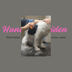 Hunde trimmen Hunde trimmen