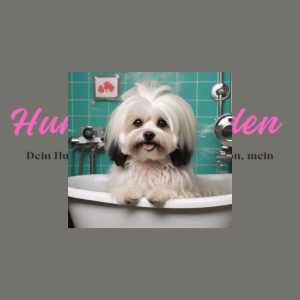 hunde baden hunde baden